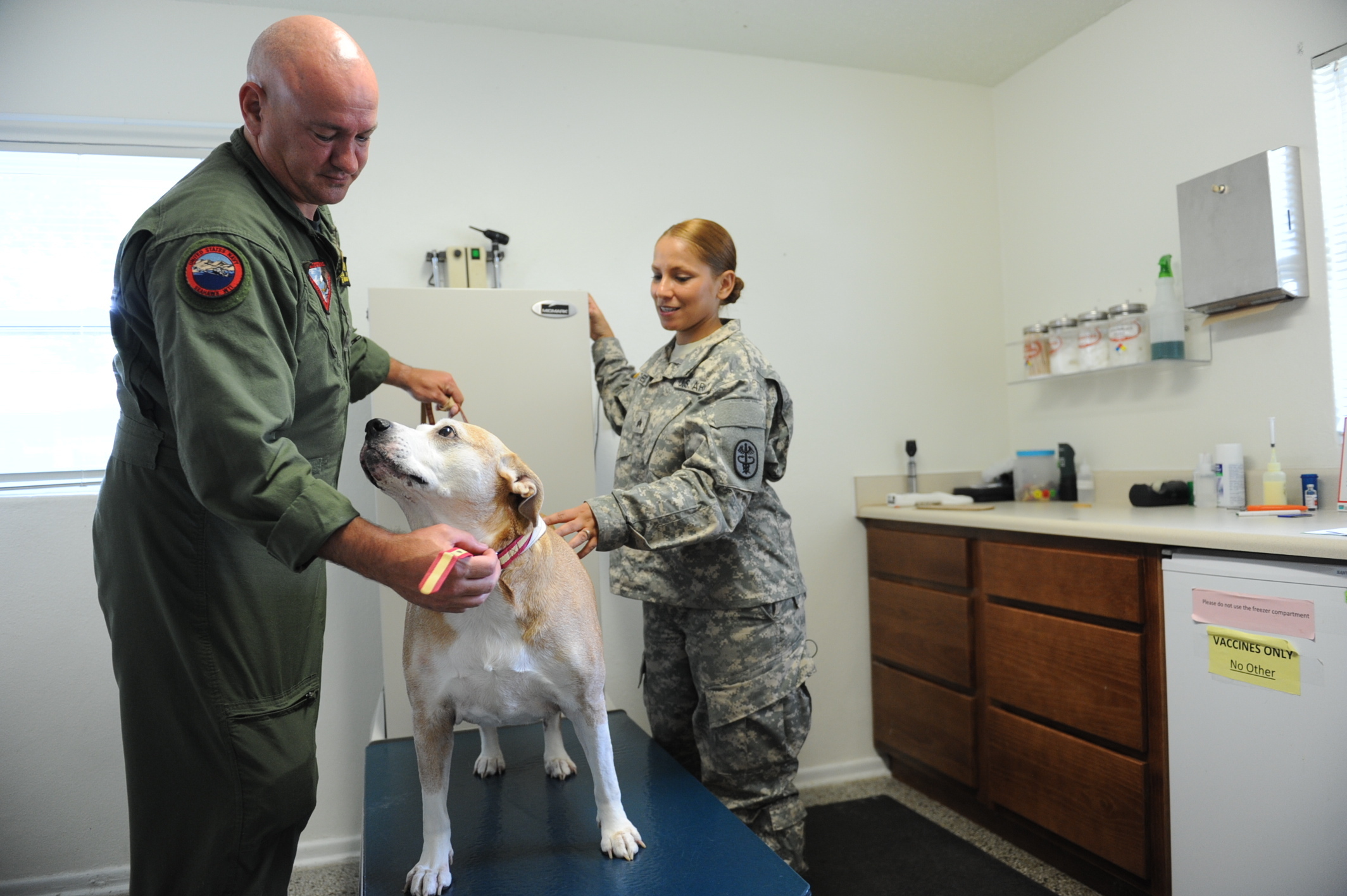 Never Skip Veterinary Care or Try to Diagnose Problems Yourself (Image Credits: Wikimedia)