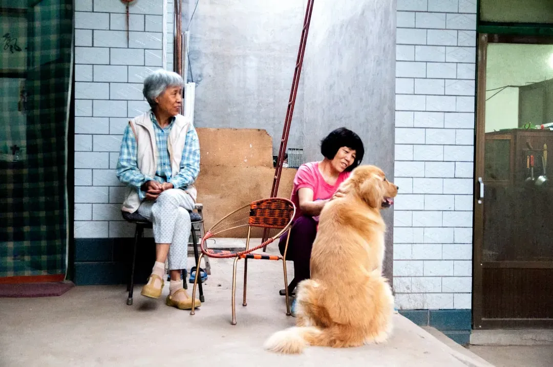 3. Quiet Morning Sitting: The Power of Simply Being Together (Image Credits: Unsplash)