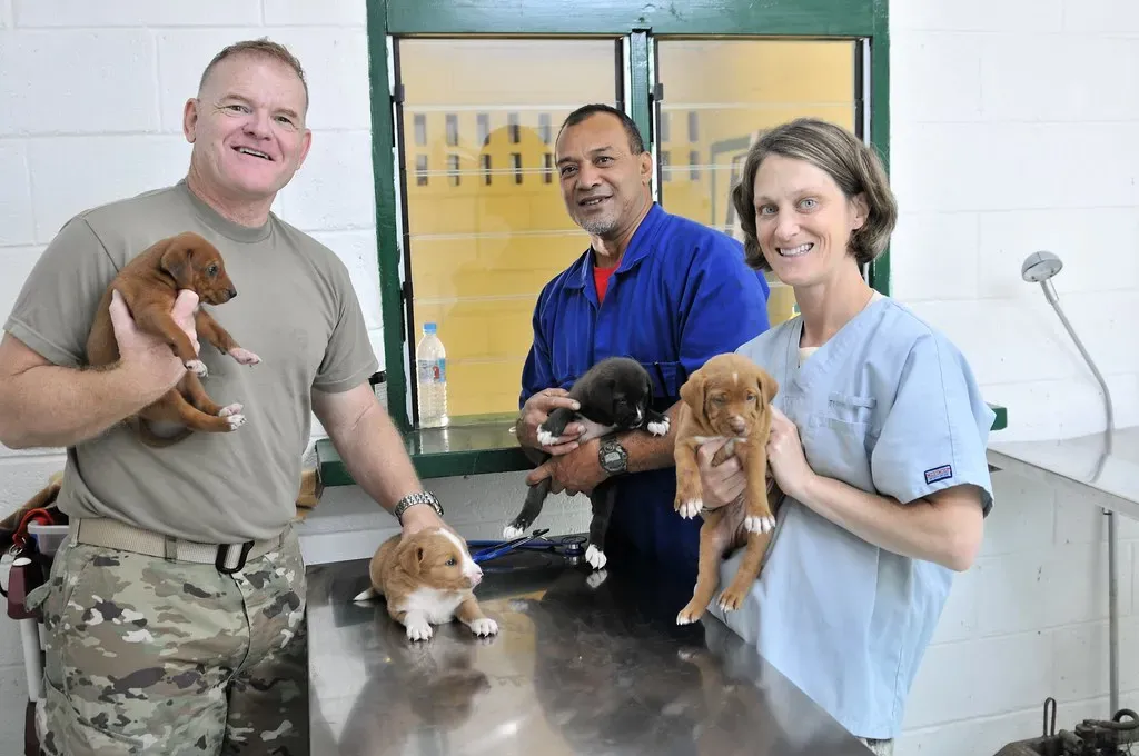 #8 - Breed Choice Is a Financial Decision, Not Just a Vibe (The National Guard, Flickr, CC BY 2.0)