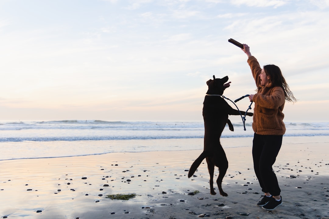 Showing Pure Joy When You Come Home (Image Credits: Unsplash)