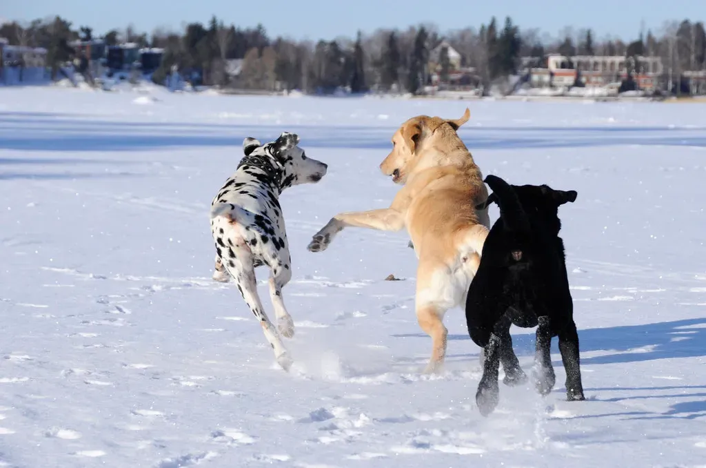 3. Play Interactive Games Together (Image Credits: Flickr)