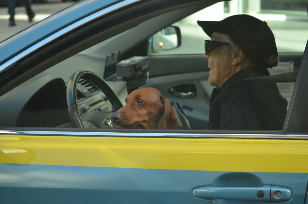 The Science of Biological Aging and Longevity (Image Credits: Unsplash)