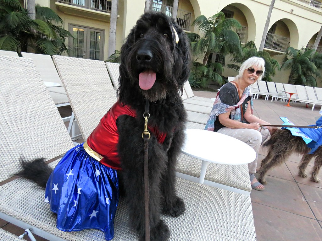 Creating a Trauma-Informed Environment (Image Credits: Flickr)