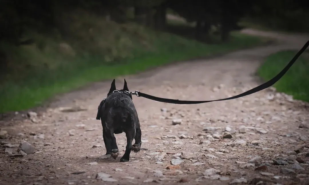 4. Your Daily Routine Will Collapse Overnight (Image Credits: Unsplash)