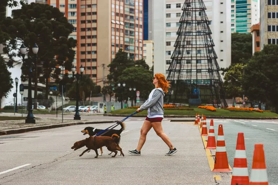 Sagittarius: The Free‑Spirited Explorer With A Canine Sidekick (Image Credits: Pexels)