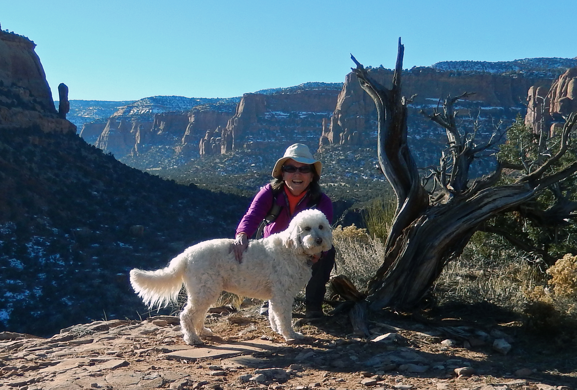 Gemini: The Versatile but Scattered Approach (Image Credits: Wikimedia)