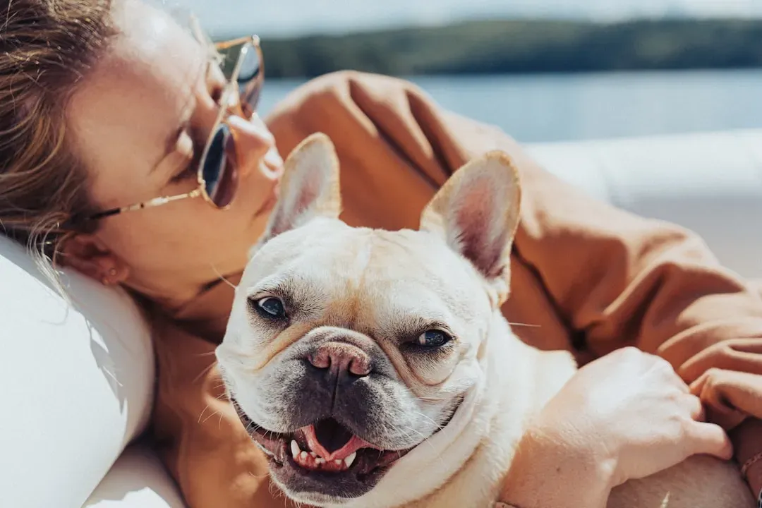 9. French Bulldog: The Demanding Little Diva (Image Credits: Unsplash)