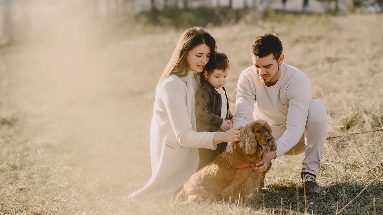 Honoring the “Dog as Child” Instinct in Healthy Ways (Image Credits: Pixabay)
