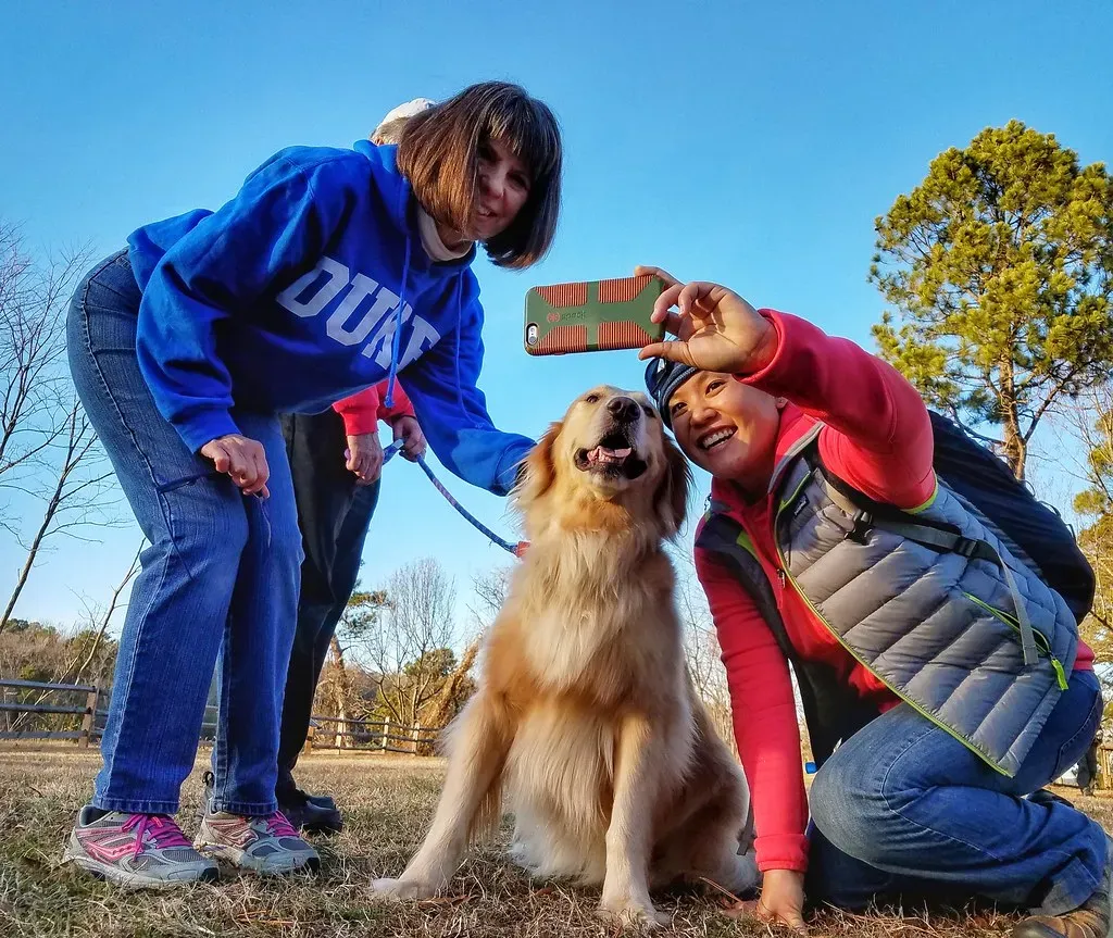 Memory Works Differently in Dogs Than You Think (Image Credits: Flickr)