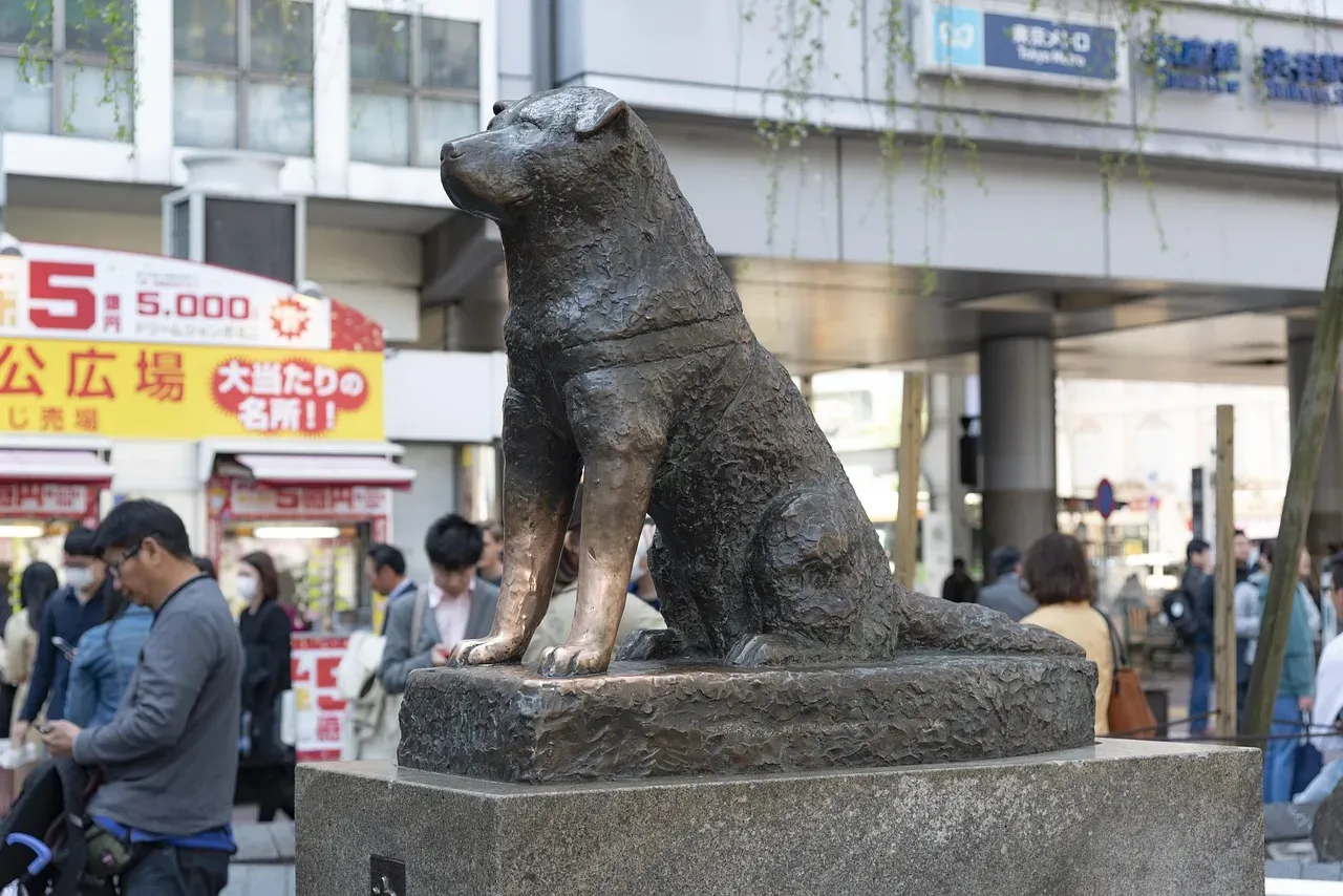 #2. Akita (Image Credits: Pixabay)