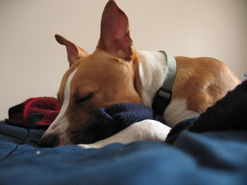 Supporting the Bigger Picture (Image Credits: Flickr)