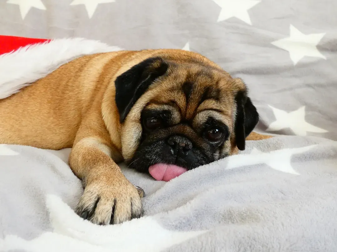 1. Start the Morning With a Meaningful Greeting (Image Credits: Unsplash)