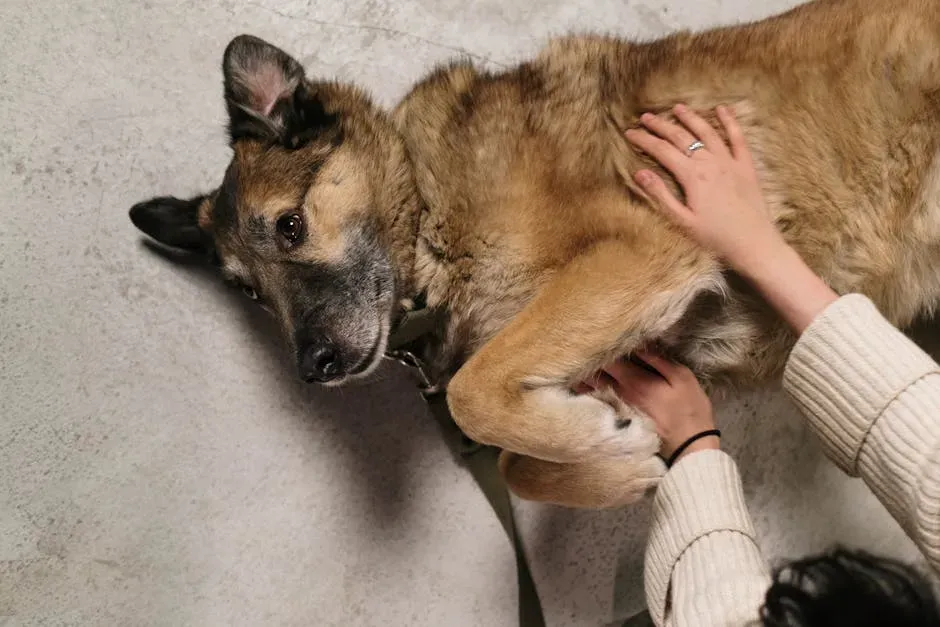 11. The Specific Feeling of Safety You've Built (Image Credits: Pexels)