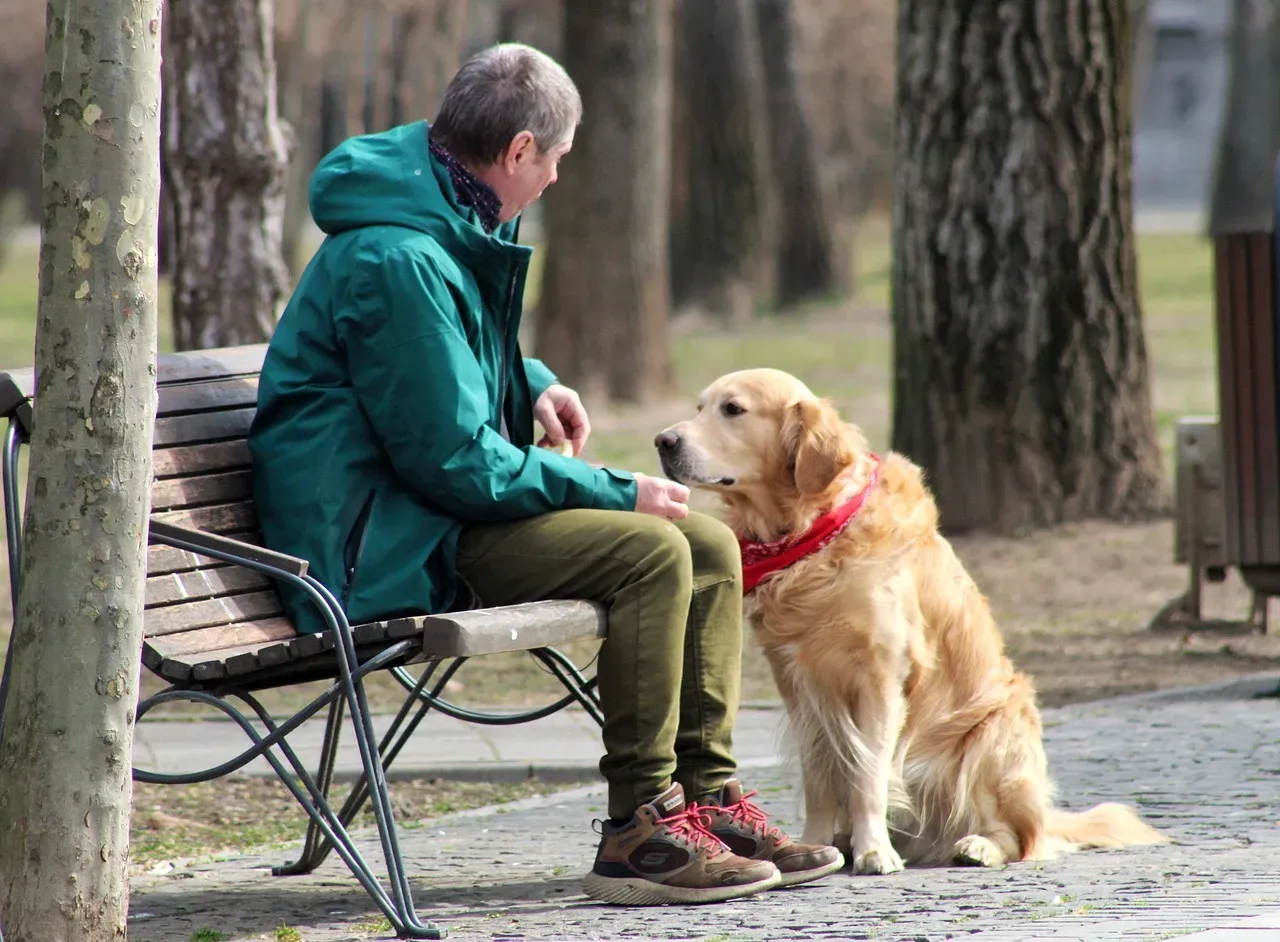 Why This Matters: Fairness as a Social Survival Tool (Image Credits: Pixabay)
