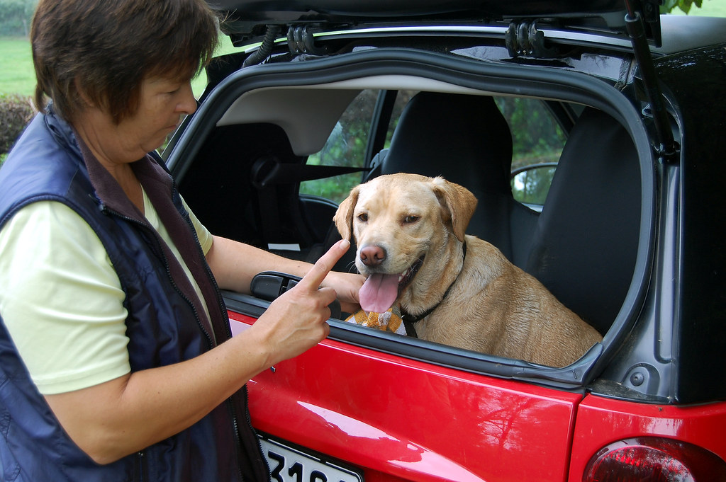 Conclusion (Image Credits: Flickr)