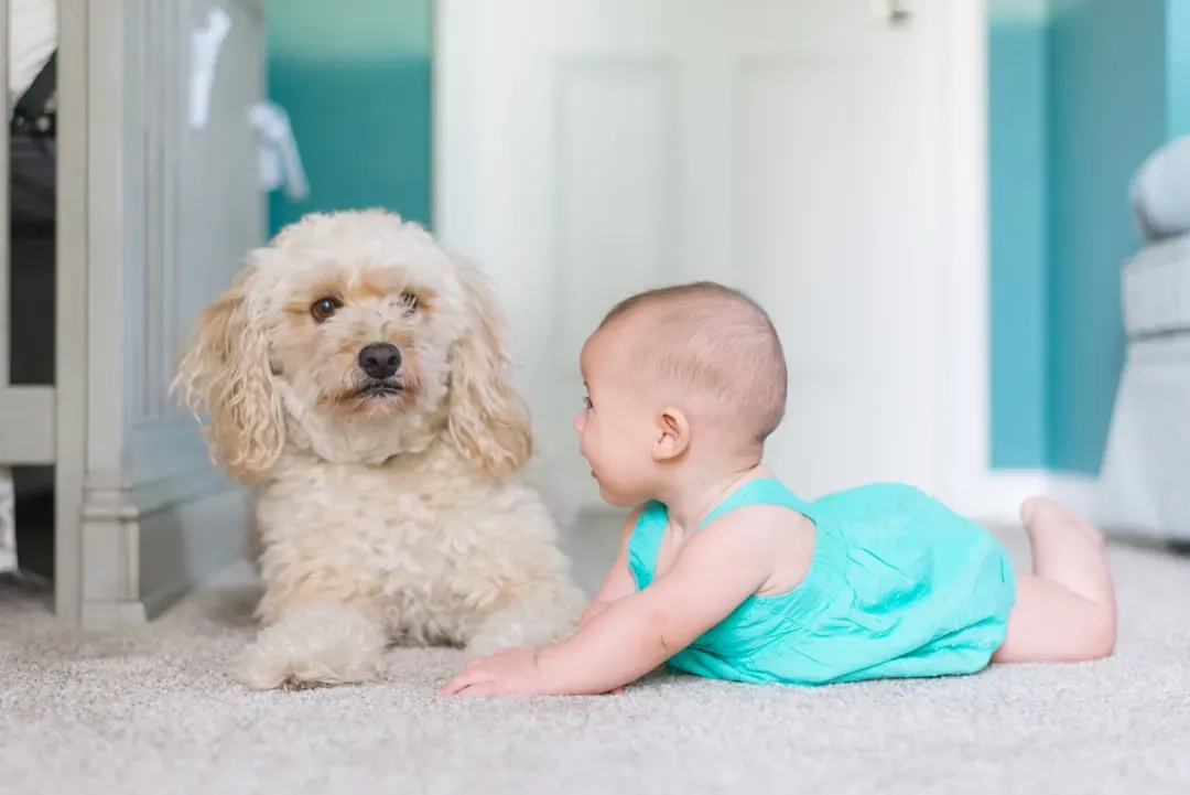 #1 - Letting Babies Crawl All Over the Dog (Image Credits: Unsplash)