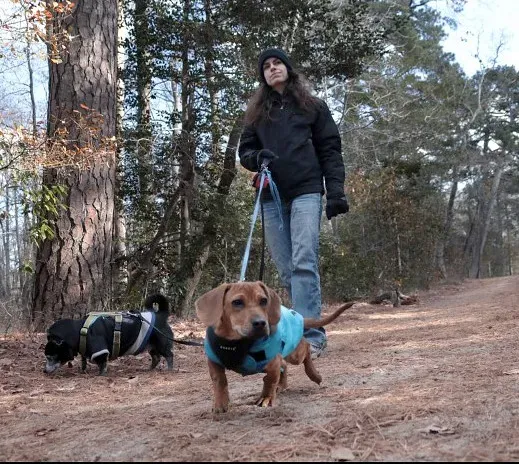 Master the Art of Strategic Walks (Image Credits: Flickr)