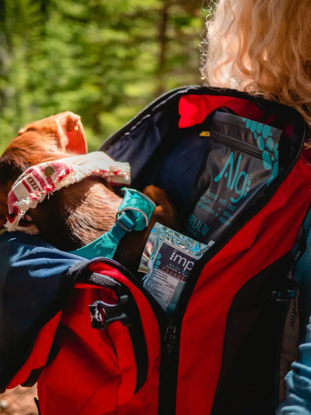 3. Pack a Dog-First-Aid Kit Tailored for Trails (Image Credits: Unsplash)
