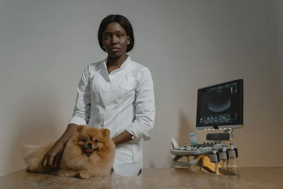 Diagnostic Steps Your Vet May Take (Image Credits: Pexels)