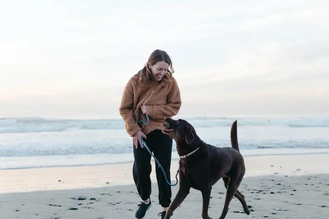 California: Labs Thrive in the Golden State (Image Credits: Unsplash)