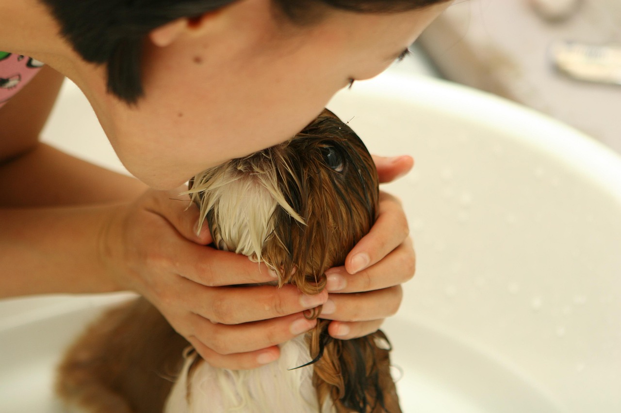 Dogs Trigger Our Protective Instincts (Image Credits: Pixabay)