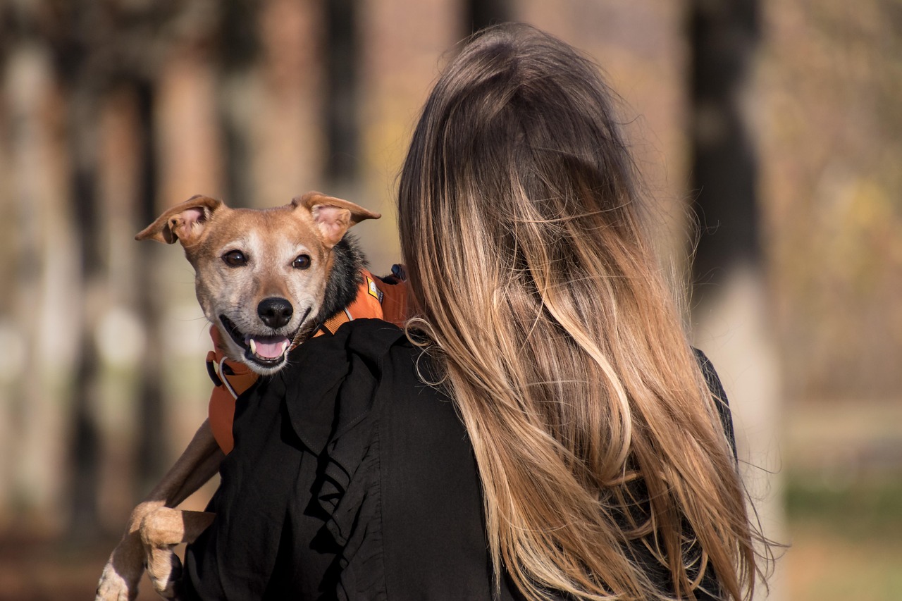 Checking In On You Throughout the Day (Image Credits: Pixabay)