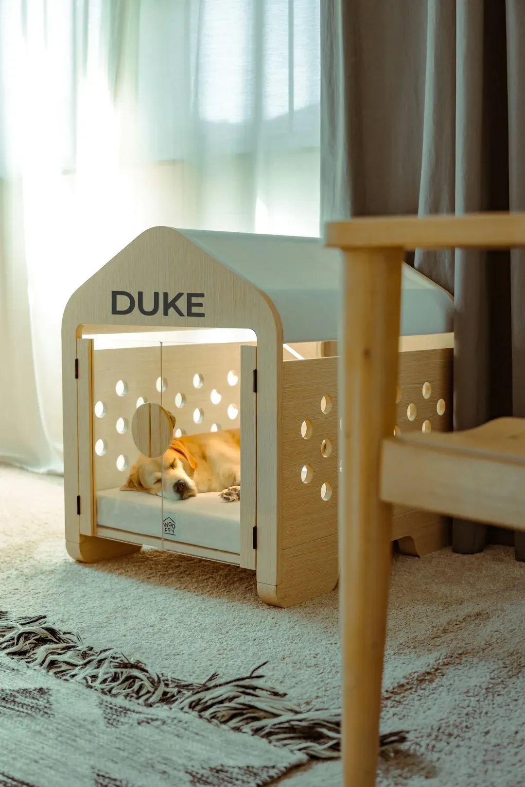 Kennel or Crate (Image Credits: Unsplash)