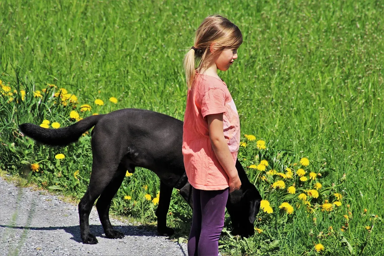 #10 – The Tiny Moments You Break The Routine (Image Credits: Pixabay)