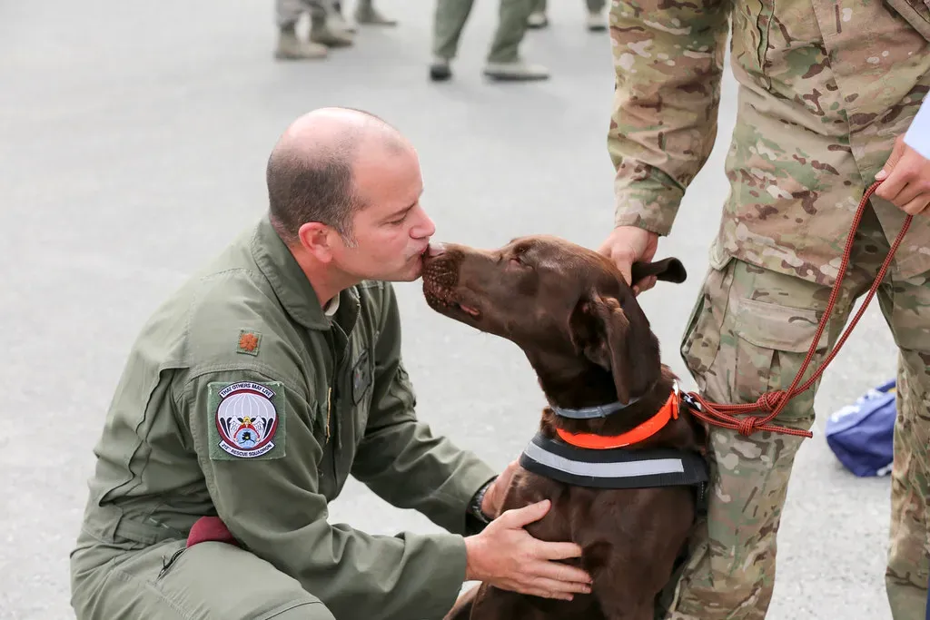 3. The Door Can Open Without Anyone Leaving Forever (The National Guard, Flickr, CC BY 2.0)