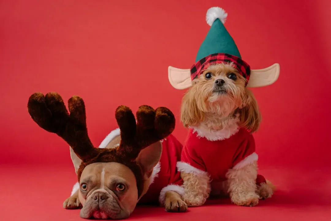 #6 - The Explosion of Matching Sweaters and Holiday Costumes (Image Credits: Unsplash)