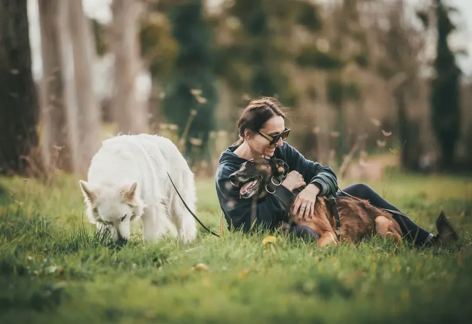 4. They Train Calm as Hard as They Train Tricks (Image Credits: Pexels)