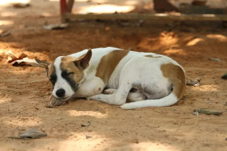 #5 - Losing Their Favorite Nap Spot to Kids Home All Day (Image Credits: Pexels)