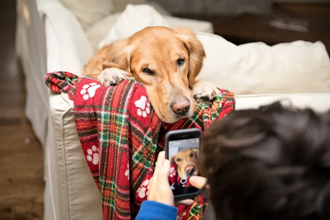 #10 - They Notice If Your Phone Beats Them to Your Attention (Image Credits: Unsplash)