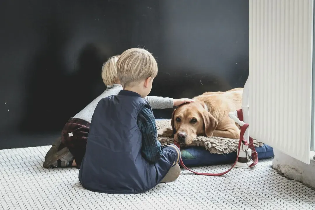 #8 Household Dynamics: Kids, Other Pets, and Visitors (Image Credits: Unsplash)