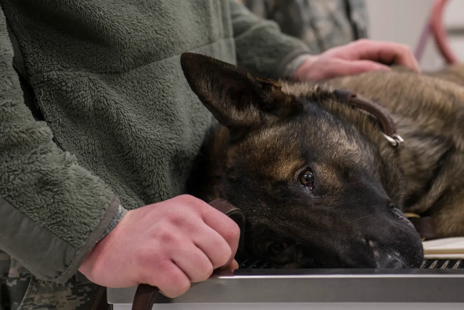 What You Can Actually Do About It (Image Credits: Wikimedia)