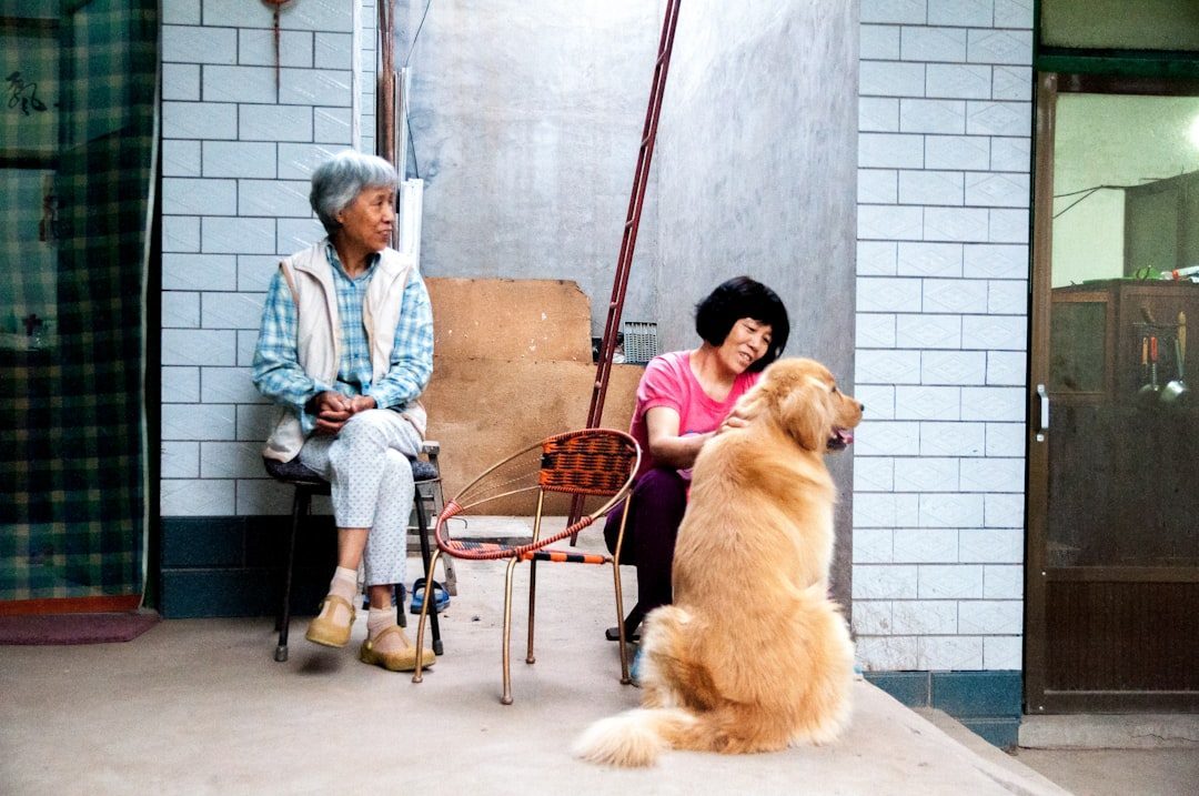 Emergency Planning Becomes Critical (Image Credits: Unsplash)