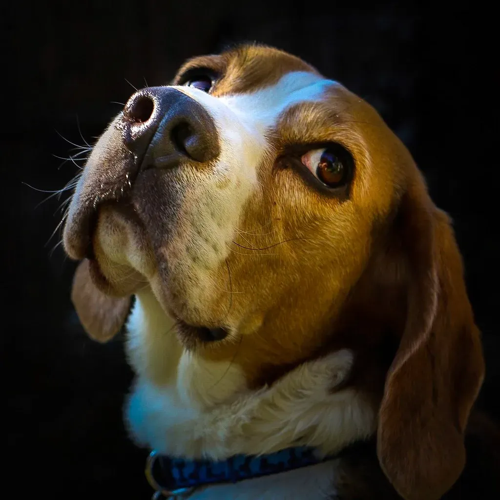 Conclusion (Image Credits: Flickr)