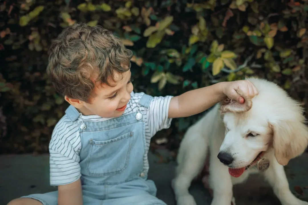 Why This Makes You a Better Human Too (Image Credits: Unsplash)