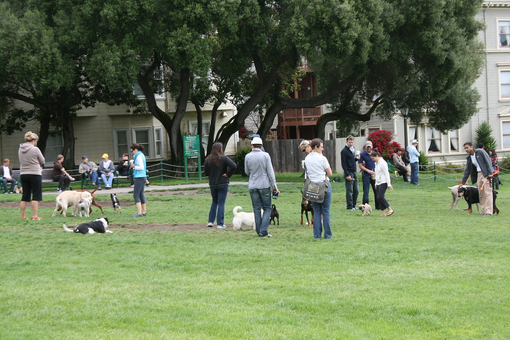 San Francisco: Tech Hub Meets Dog Heaven (Image Credits: Flickr)