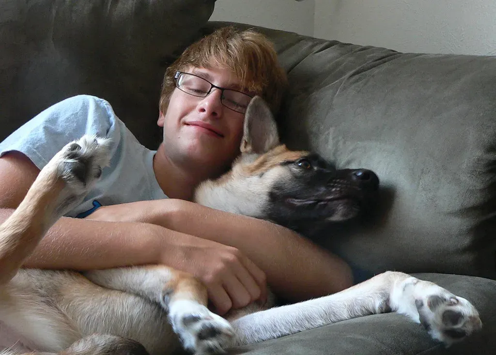 Leo: The Proud Leader Who Commands Attention (Image Credits: Flickr)