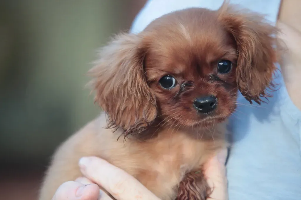 9. Be Unapologetically You (Ian McFegan, Flickr, CC BY 2.0)