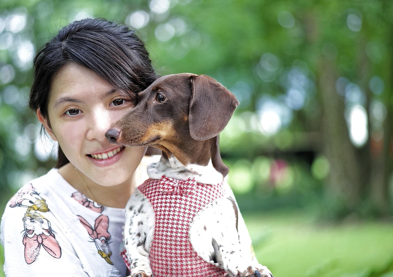 Libra Dogs: The Peacekeepers (Image Credits: Pixabay)