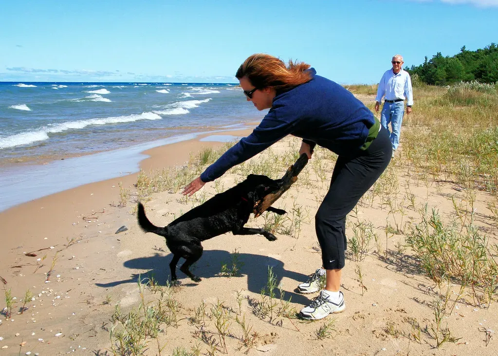 A Final Word: Your Dog Is Not Broken (visualthinker, Flickr, CC BY-SA 2.0)