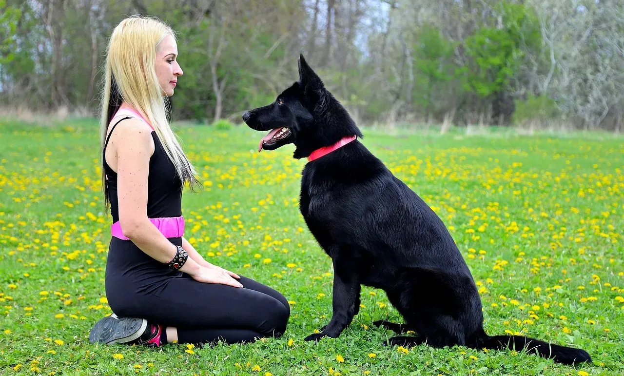 #2 Cancer: The Nurturing Heart That a German Shepherd Craves (Image Credits: Pixabay)