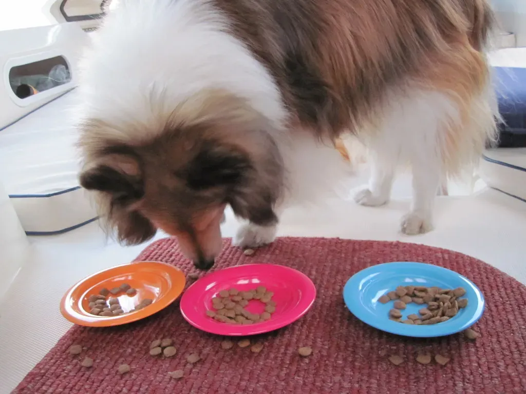 Sweet Potatoes – The Nutrient-Dense Delight (Image Credits: Flickr)