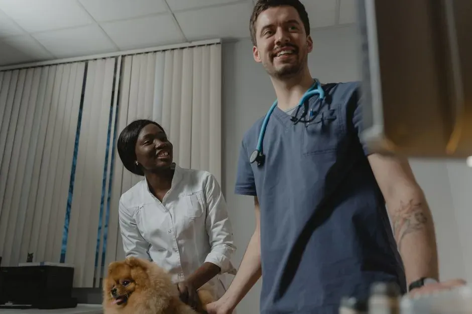 #13: Veterinarians And Pediatricians Work More In Sync (Image Credits: Pexels)