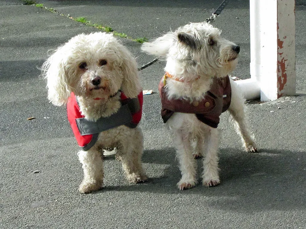 Seismic Sensitivity: Feeling the Earth Move (Image Credits: Flickr)