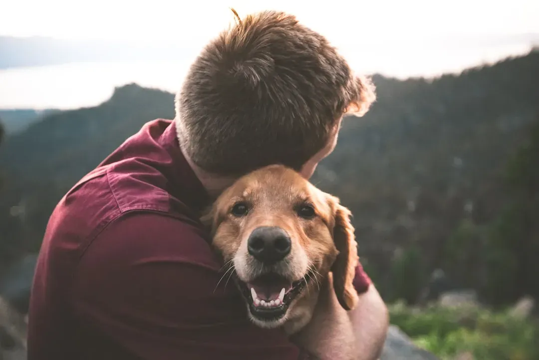 How This Changes Everyday Life With Your Dog (Image Credits: Unsplash)