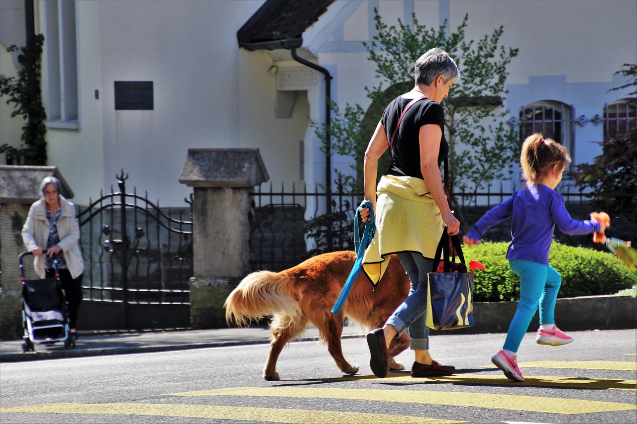 Rediscovering Joy and Playfulness (Image Credits: Pixabay)