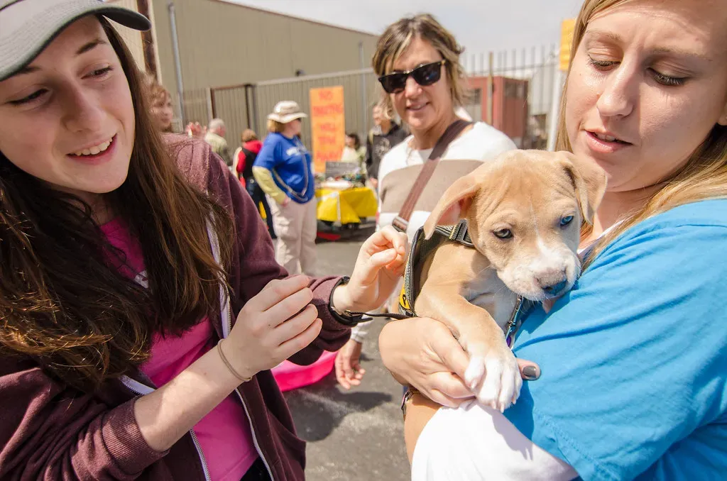 Practical Ways to Survive and Thrive (Image Credits: Flickr)